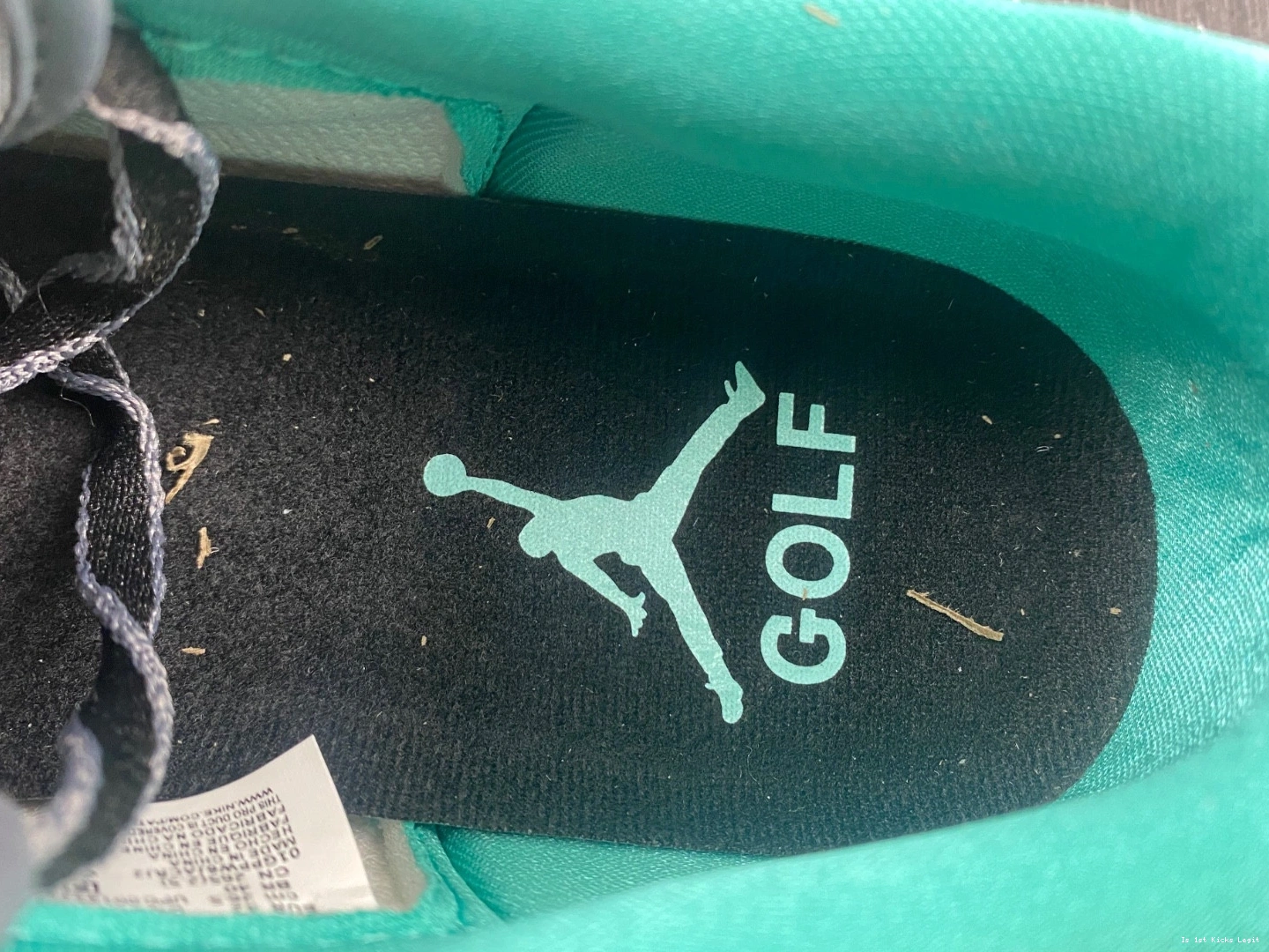 Jordan FZ3248-001 Golf Low Air 